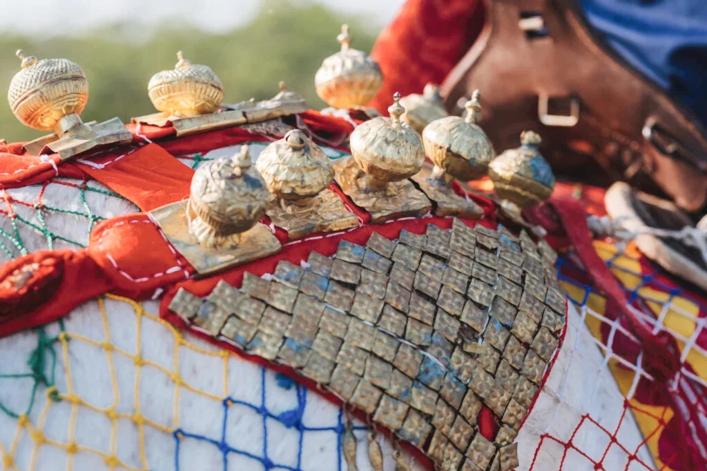 A decorated horse escorts the groom to the bride’s family during the Baraat ceremony