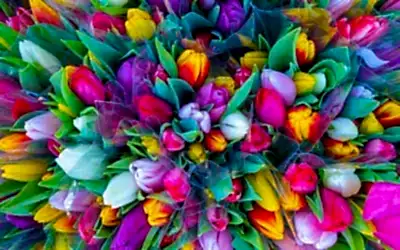 Top 10 Spring Wedding Color Schemes For 2024